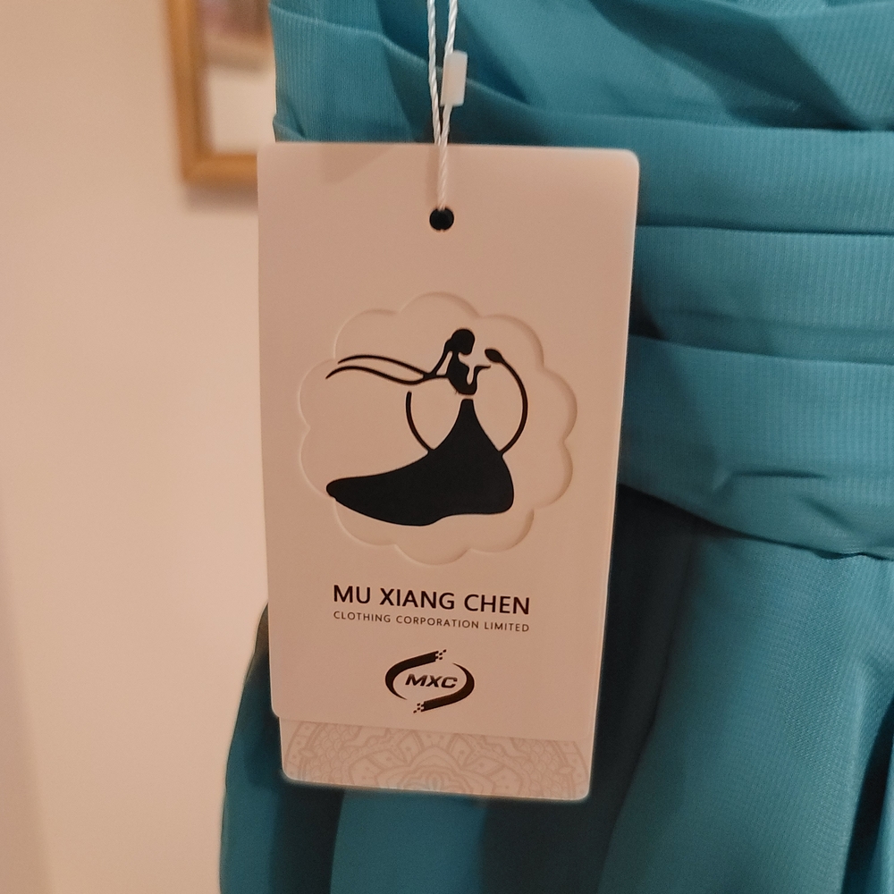 NWT MU XIANG CHEN Teal Chiffon Corseted Fit and Flare Short Dress Size 18 - Picture 4 of 16